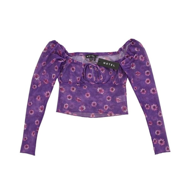 Motel Rocks Tops - Motel sheer mesh floral crop top - size XXS (4/6)